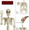 Halloween Skeleton Full Body Posable Joints , 3ft Human Skeleton Decorations for Party Haunted House Supplies (1pc)